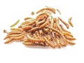 Dried Mealworms the new super human food on white background Royalty Free Stock Photo