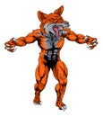 Mean fox sports mascot Royalty Free Stock Photo