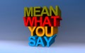 mean what you say on blue Royalty Free Stock Photo