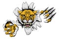 Mean Wildcat Mascot