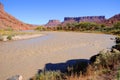 Meander in Colorado River