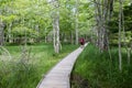 Three guys walking along a beautiful boardwalk lined with white birch trees