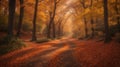 Autumn\'s Journey: Following a Winding Forest Path through a Sea of Vibrant Trees