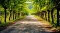 meandering path grape background