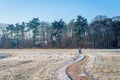 Meandering path in a winter landscape