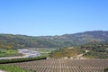 Meandering river next to vineyard in Spain