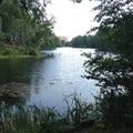 Meandering river with overgrown green banks