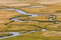 An aerial view of meandering stream. Plateau Ukok. Altai