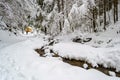 Meandering stream with deep snow banks, passing under white fir trees, towards a warm, wooden, mountain hut, in a forest Royalty Free Stock Photo