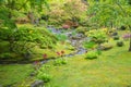 Meandering Stream Lined with Flowers in Lush Garden