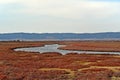 Delta of Kavak, Gallipoli, Turkiye, marshy environments, meandering streams of brackish ponds Royalty Free Stock Photo