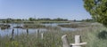 meanders of Quaranta canal among lush vegetation, near Cona island conservation area, Staranzano, Friuli, Italy