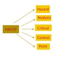 Meaning of haccp abstract Royalty Free Stock Photo