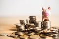 Meaning of saving money concept with piggy bank over the coins Royalty Free Stock Photo