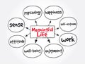 Meaningful Life mind map, concept for presentations and reports Royalty Free Stock Photo