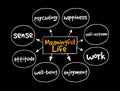 Meaningful Life mind map, concept for presentations and reports Royalty Free Stock Photo