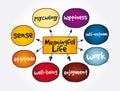 Meaningful Life mind map, concept for presentations and reports Royalty Free Stock Photo