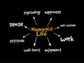 Meaningful Life mind map, concept for presentations and reports Royalty Free Stock Photo