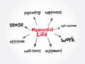 Meaningful Life mind map, concept for presentations and reports Royalty Free Stock Photo