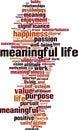 Meaningful life word cloud Royalty Free Stock Photo