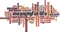 Meaningful life word cloud Royalty Free Stock Photo