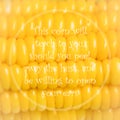Meaningful quote on corn background
