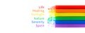 Meanings of LGBT flag colors. LGBT Flag design made with soft pastels. Copy space for text or image.