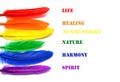 Meanings of LGBT flag colors. LGBT flag made of rainbow feathers on a white background. Copy space for text or image.