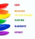 Meanings of LGBT flag colors. LGBT flag made of rainbow feathers on a white background. Copy space for text or image.