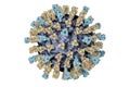 Measles virus illustration Royalty Free Stock Photo