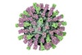 Measles virus illustration