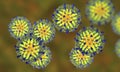 Measles virus. illustration Royalty Free Stock Photo