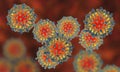 Measles virus. illustration