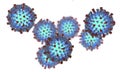 Measles virus. illustration Royalty Free Stock Photo