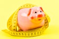 Measure costs. Credit loan debt. Piggy bank and measuring tape. Budget limit concept. Economics and finances. Pig trap Royalty Free Stock Photo