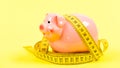 Measure costs. Piggy bank and measuring tape. Budget limit concept. Economics and finances. Pig trap. Budget crisis Royalty Free Stock Photo