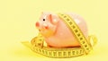 Measure costs. Piggy bank and measuring tape. Budget limit concept. Economics and finances. Pig trap. Budget crisis Royalty Free Stock Photo