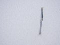 Measure the snow depth with a folding rule Royalty Free Stock Photo