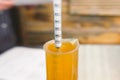 Measurement of alcohol content in beer. Hydrometer in glass of beer Royalty Free Stock Photo