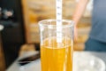 Measurement of alcohol content in beer. Hydrometer in glass of b Royalty Free Stock Photo