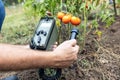 Measurement of radioactivity concentration levels in vegetables after nuclear accident or incident