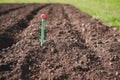 Measurement of soil temperature in a garden bed.