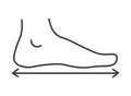 Dimensions and measurements of human feet vector