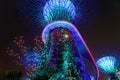 Gardens by the Bay, Singapore, Night Light Show Royalty Free Stock Photo