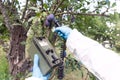 Measuring radiation levels of the fruit Royalty Free Stock Photo