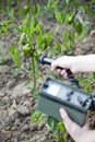 Measuring radiation levels of green peppers Royalty Free Stock Photo