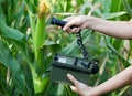 Measuring radiation levels of maize Royalty Free Stock Photo