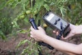 Measuring radiation levels of tomato Royalty Free Stock Photo