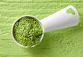 Measuring scoop of barley or wheat grass powder on green background Royalty Free Stock Photo