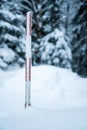Measuring the snow depth with ruler Royalty Free Stock Photo